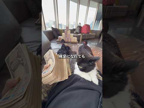 親に競艇で生きてるなんて絶対に言えなくて滅www
