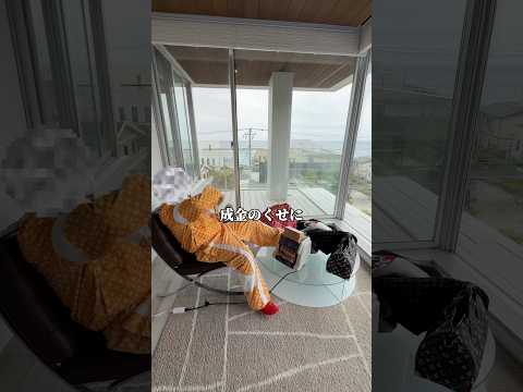 成り上がって好きな服着てるだけなのにアンチからセンスないって言われすぎて滅www